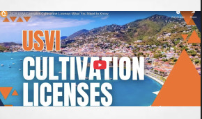 2025 USVI Cannabis Cultivation License: What You Need to Know